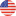 usa flag